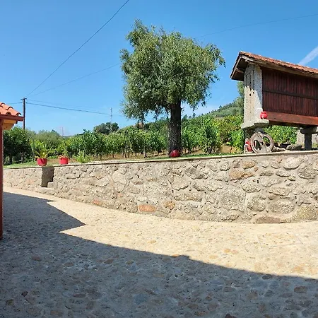 Casa Da Pinha